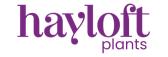 Hayloft Plants